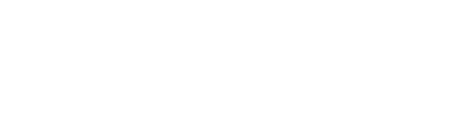 Veyron 1.0